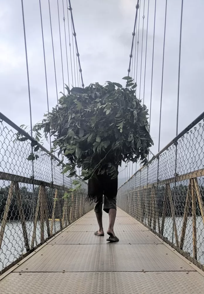 Photo of Hanging Bridge By Sylvon Lopes