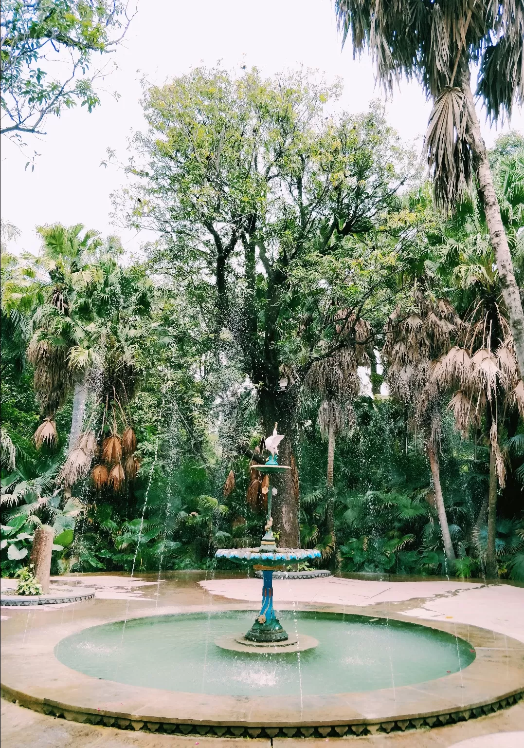Photo of Saheliyon Ki Bari By Ananya Nandan
