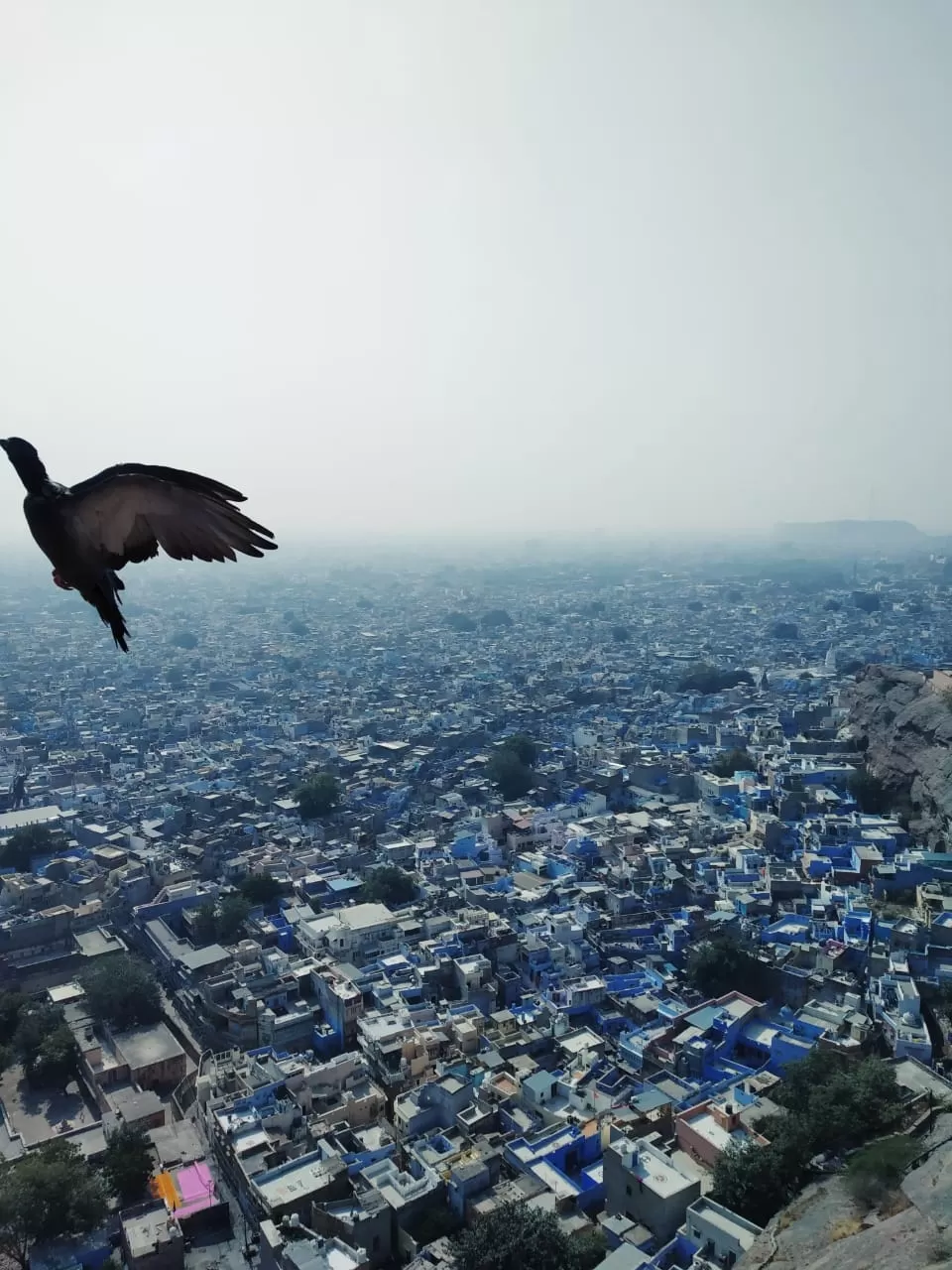 Photo of Rajasthan By Irfan Muhammed