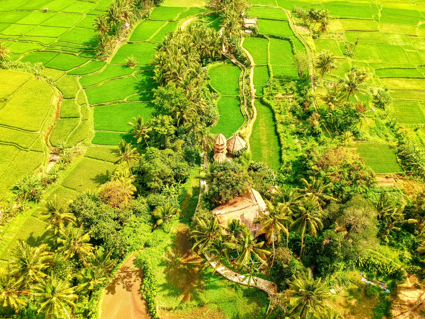Photo of Ubud By Shweta Khokale