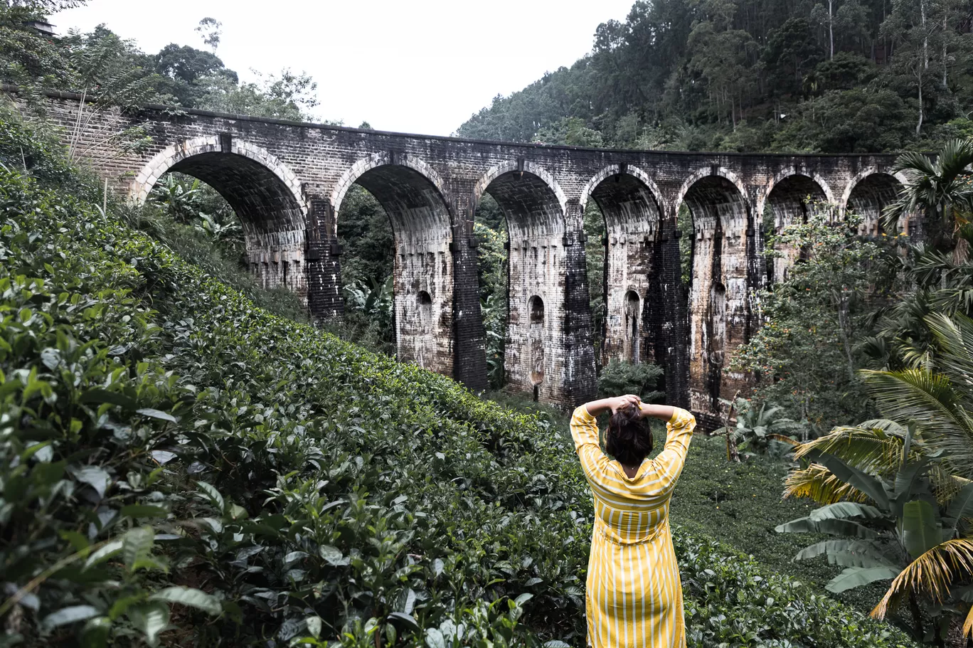 Photo of Sri Lanka By Beyond Sunrises and Sunsets