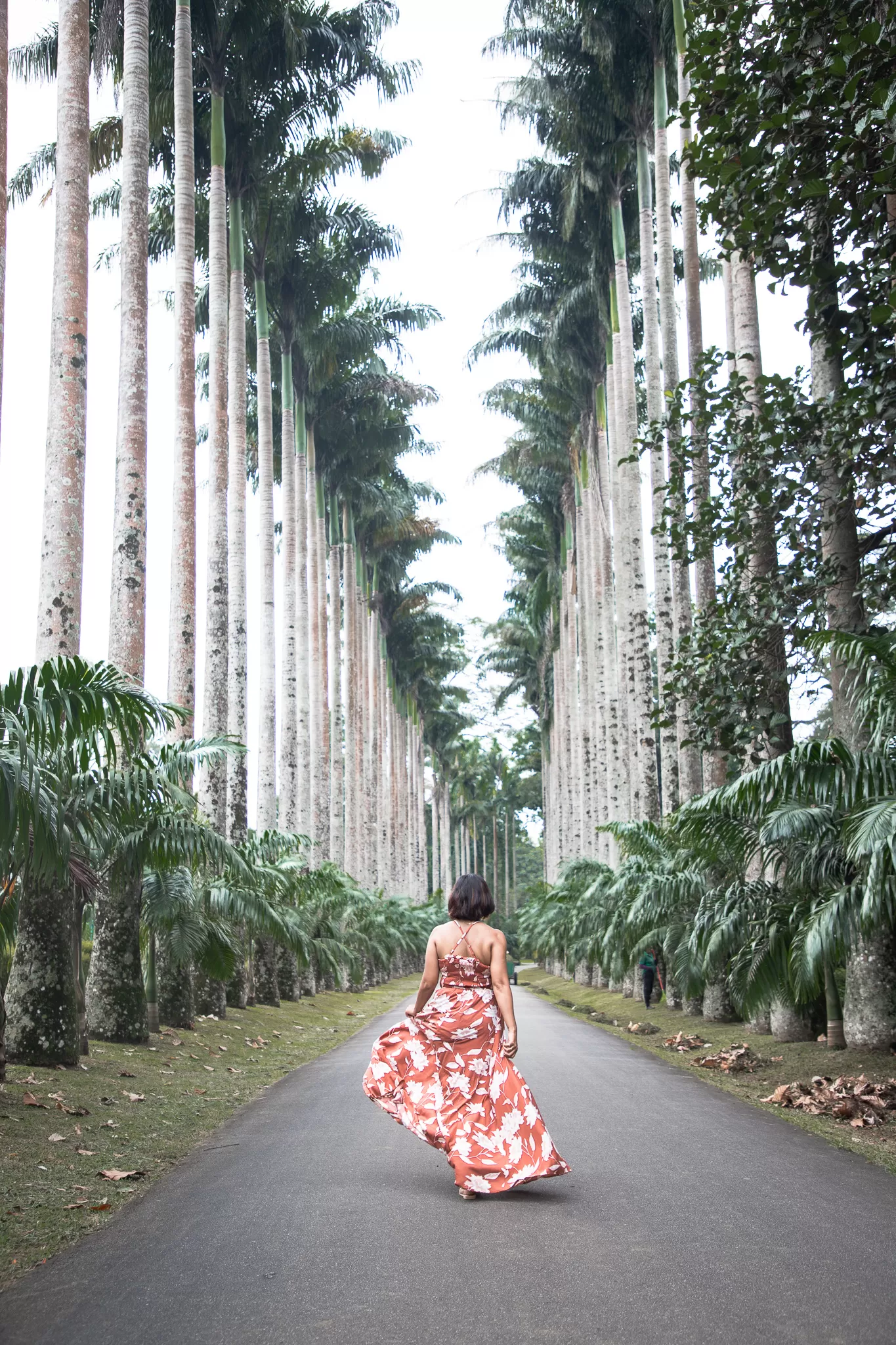 Photo of Sri Lanka By Beyond Sunrises and Sunsets