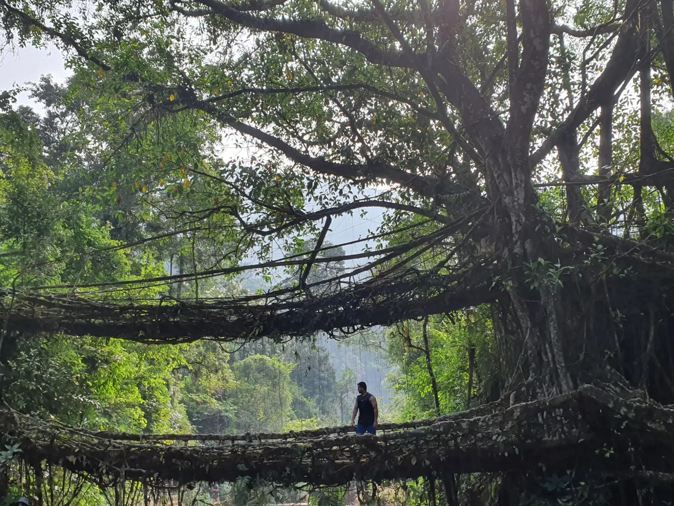 Photo of Meghalaya By Mandar RK