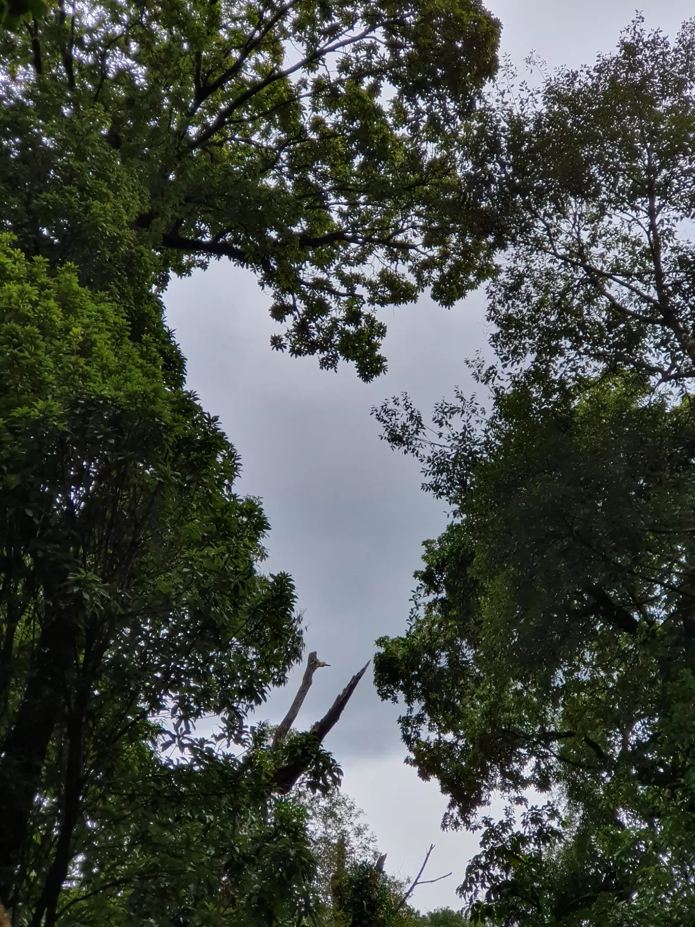 Photo of Meghalaya By Mandar RK