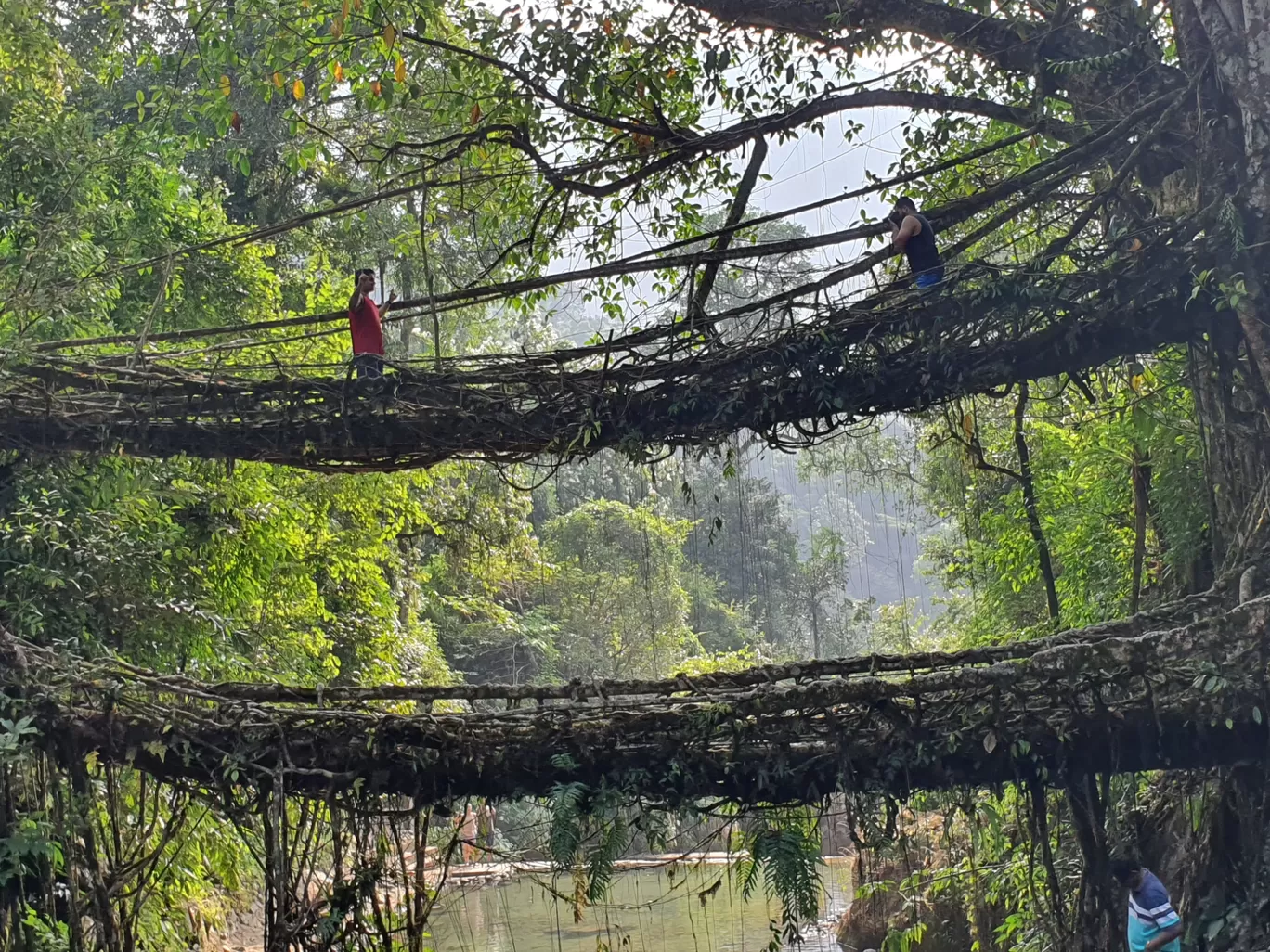 Photo of Meghalaya By Mandar RK