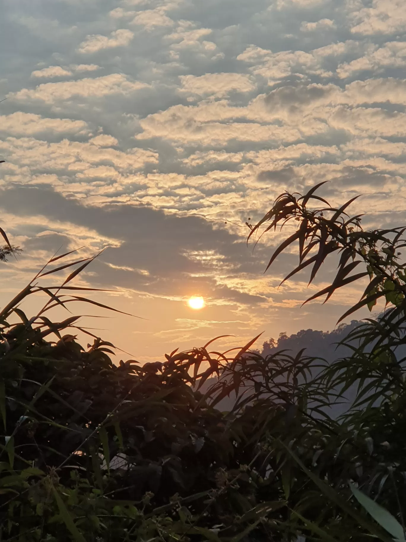 Photo of Meghalaya By Mandar RK