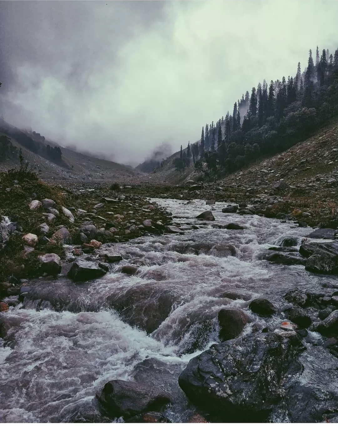 Photo of Himachal Pradesh By Julie Vaidya