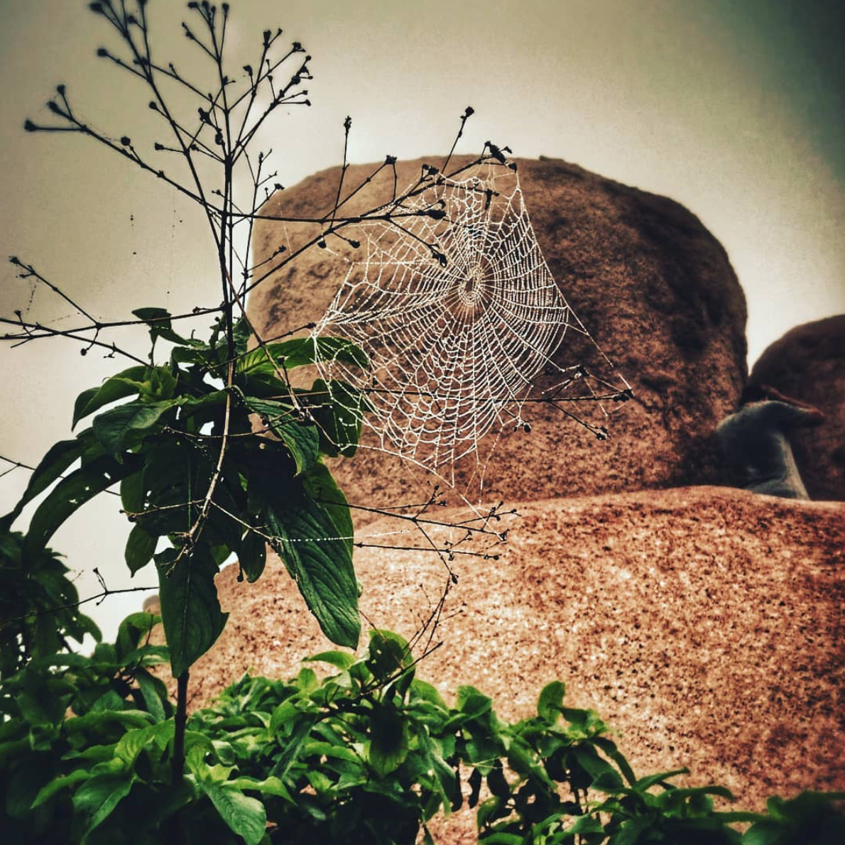 Photo of Polo Forest Road By RIDDHI MISHRA