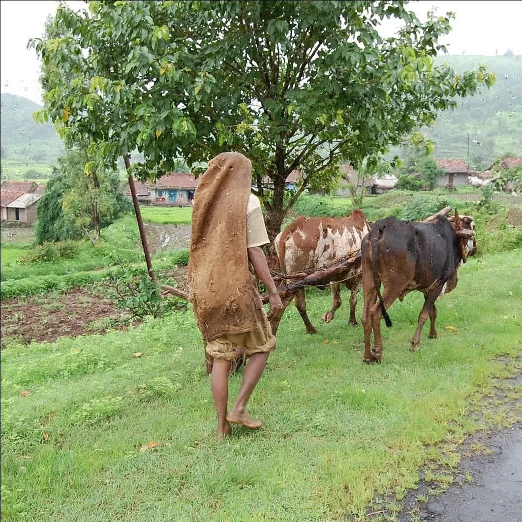 Photo of Bhimashankar By Mukund Parmar