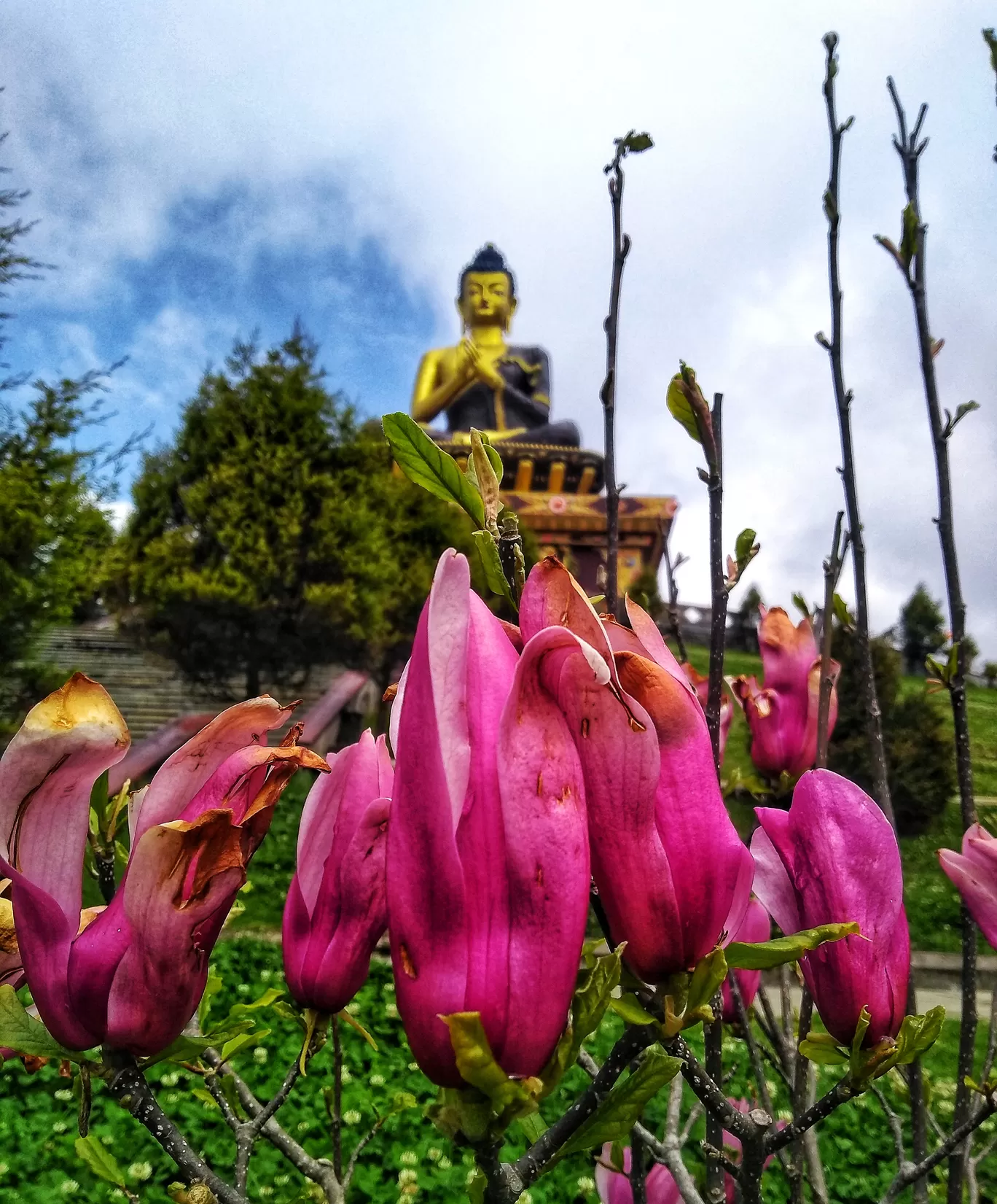 Photo of Tathagata Tsal (Buddha Park) By Nupur Mondal