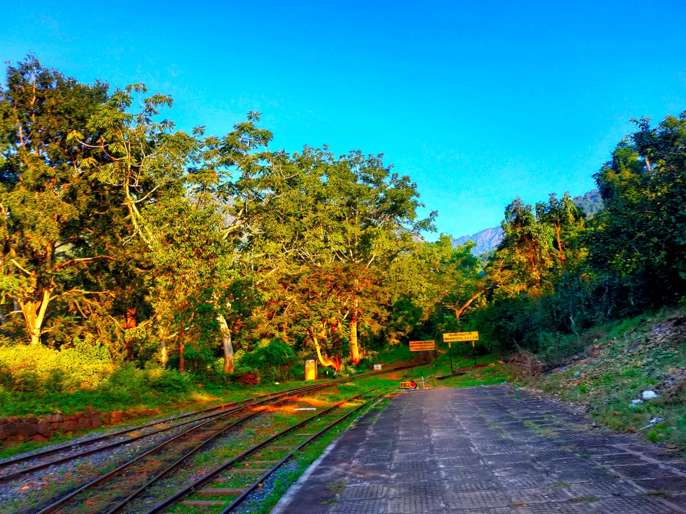 Photo of Nilgiri Mountain Railway By Saahiil Sharma