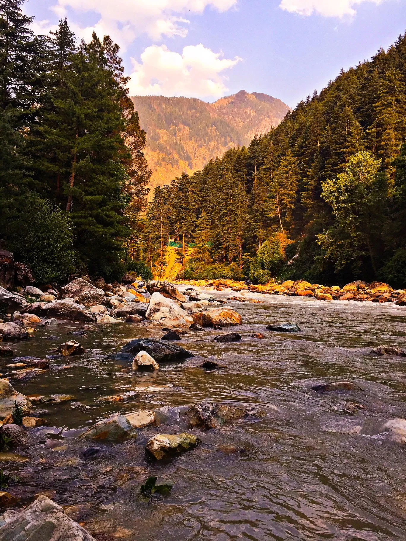 Photo of Chalal Trek Trail By vipul kaushik
