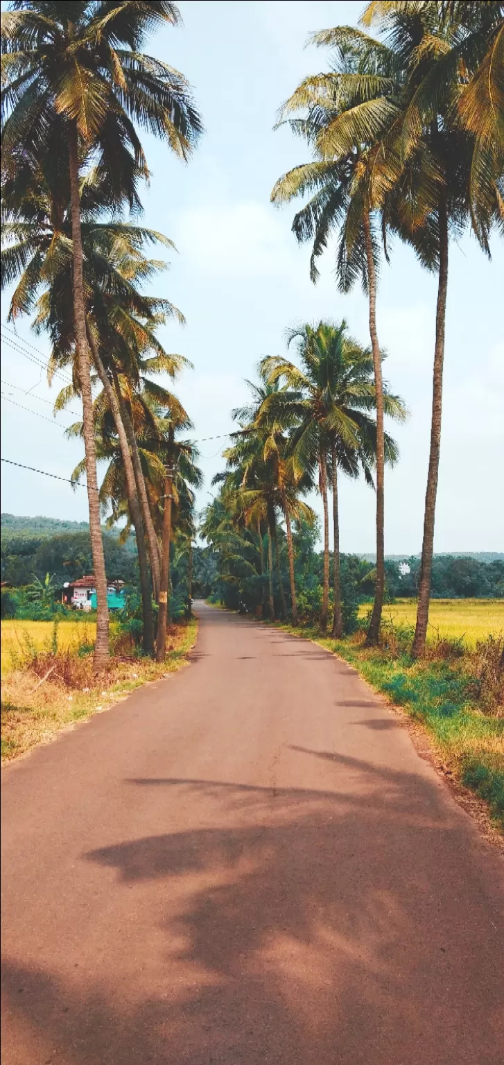 Photo of Goa By The travelling dude 