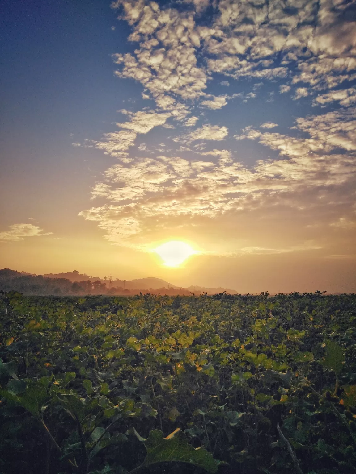 Photo of Guwahati By dibyajyoti saha
