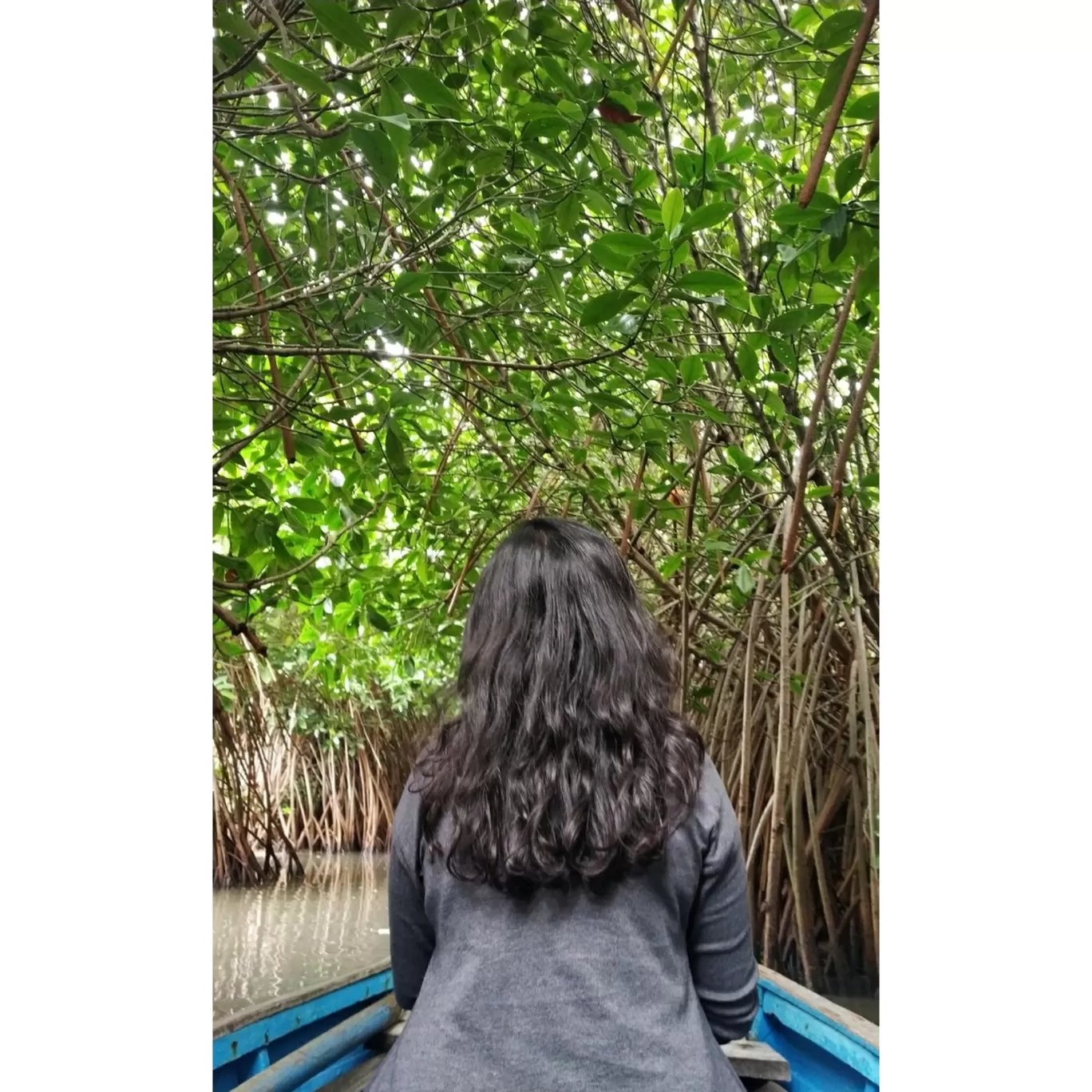 Photo of Pichavaram Mangrove Forest By Surbhi Madavi