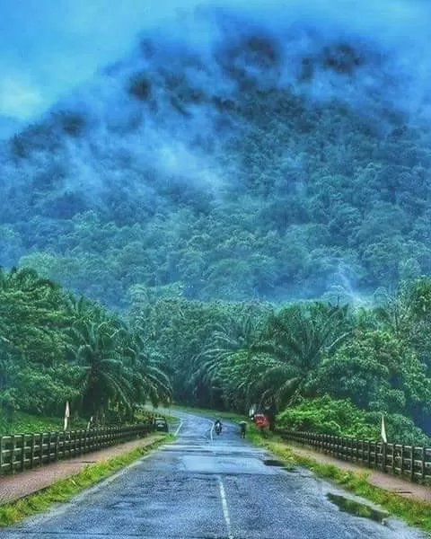 Photo of Kodachadri Hill By Madhusudan M Shet