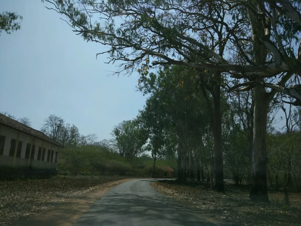 Photo of Nagarhole National Park By AnaZir Vlog