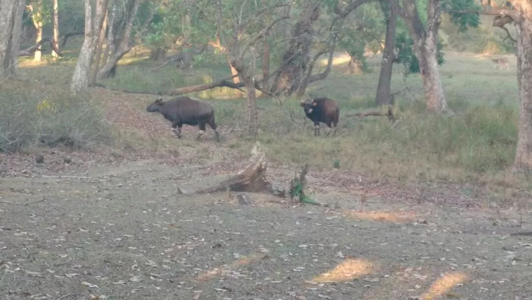 Photo of Nagarhole National Park By AnaZir Vlog