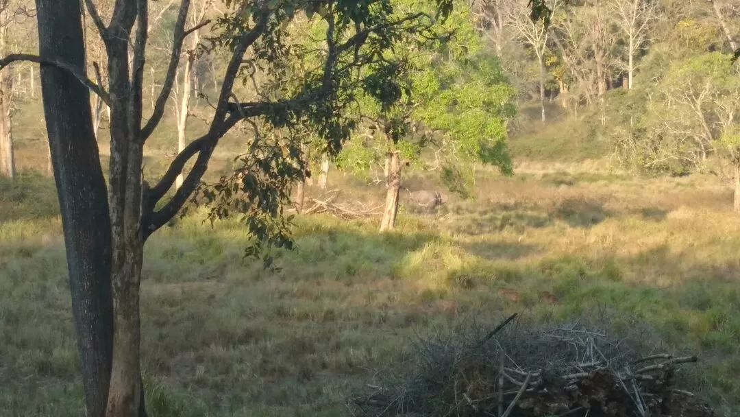 Photo of Nagarhole National Park By AnaZir Vlog