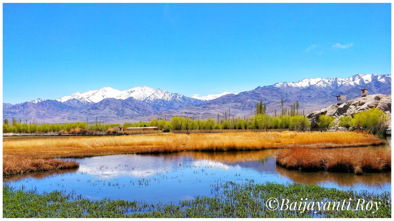 Photo of Leh By Baijayanti Roy