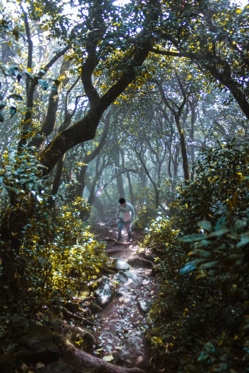 Photo of Agasthyamalai By Hari Krishnan S.