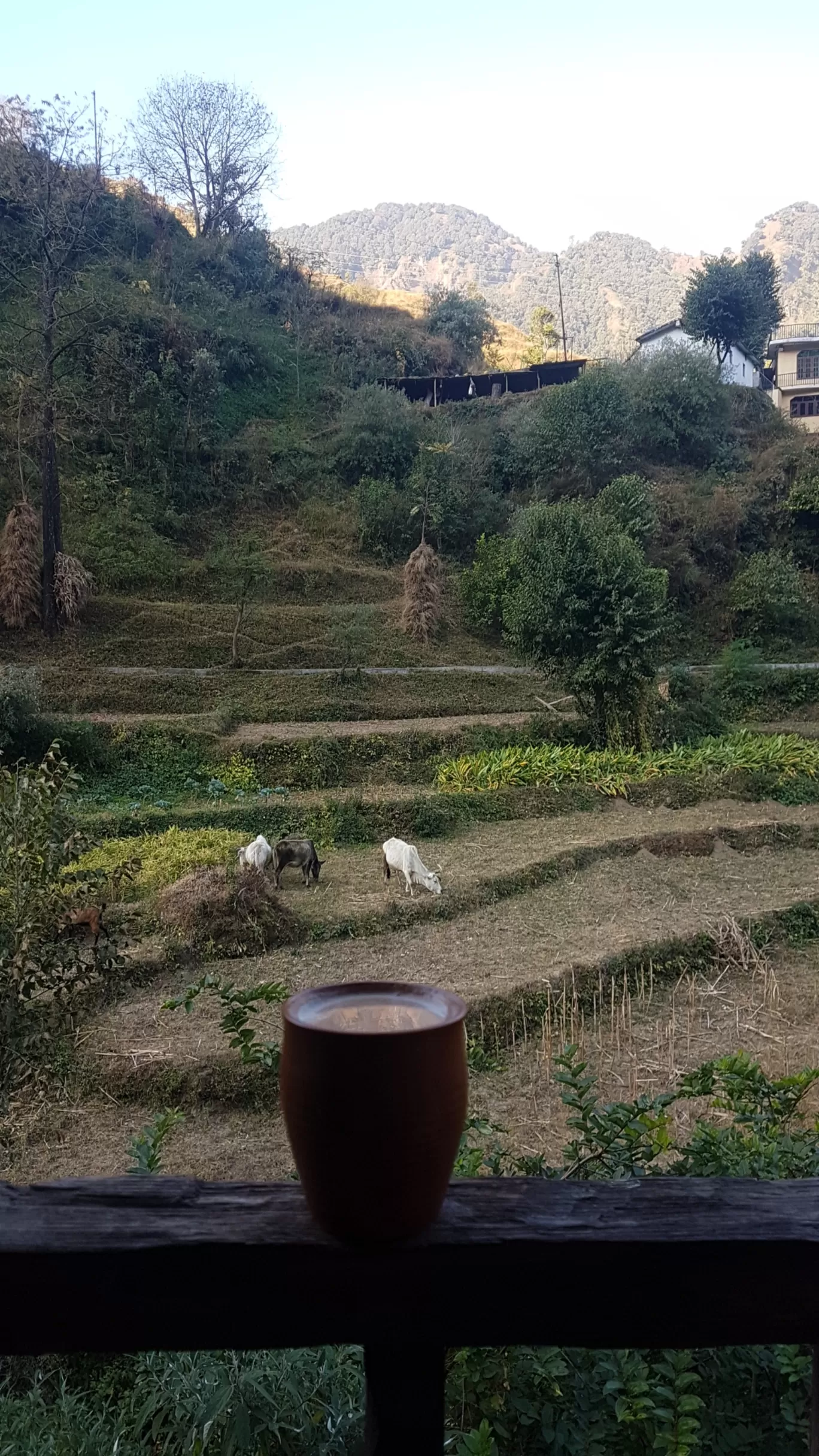 Photo of Mussoorie By Avnavi 