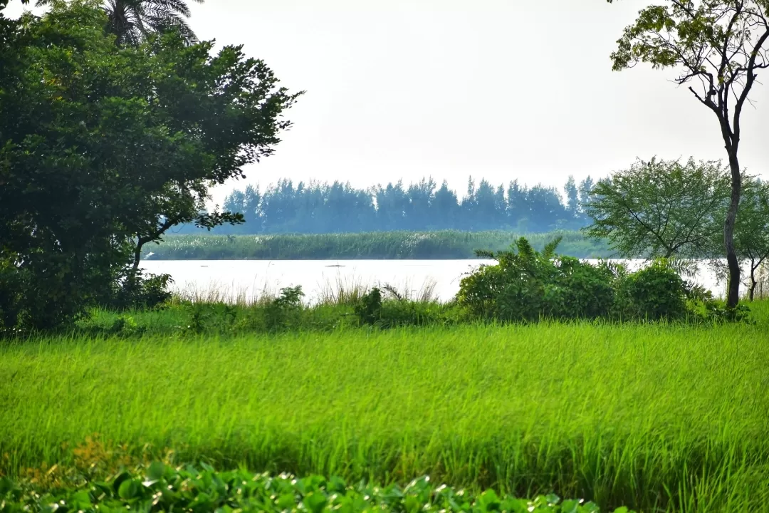 Photo of Deulti By s@y@nt@ni
