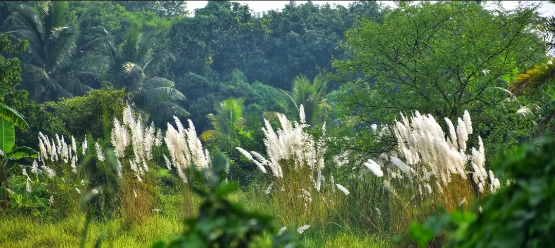 Photo of Deulti By s@y@nt@ni