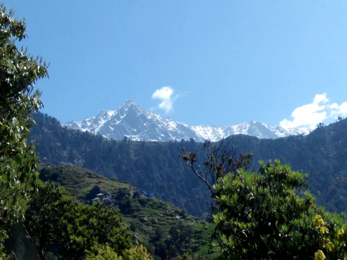 Photo of Triund By Dr. Partha Pratim Bose