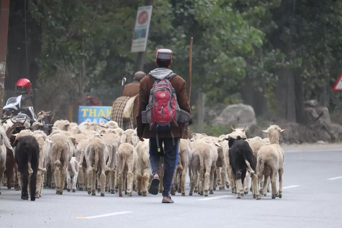 Photo of Kullu By Dungar jangid