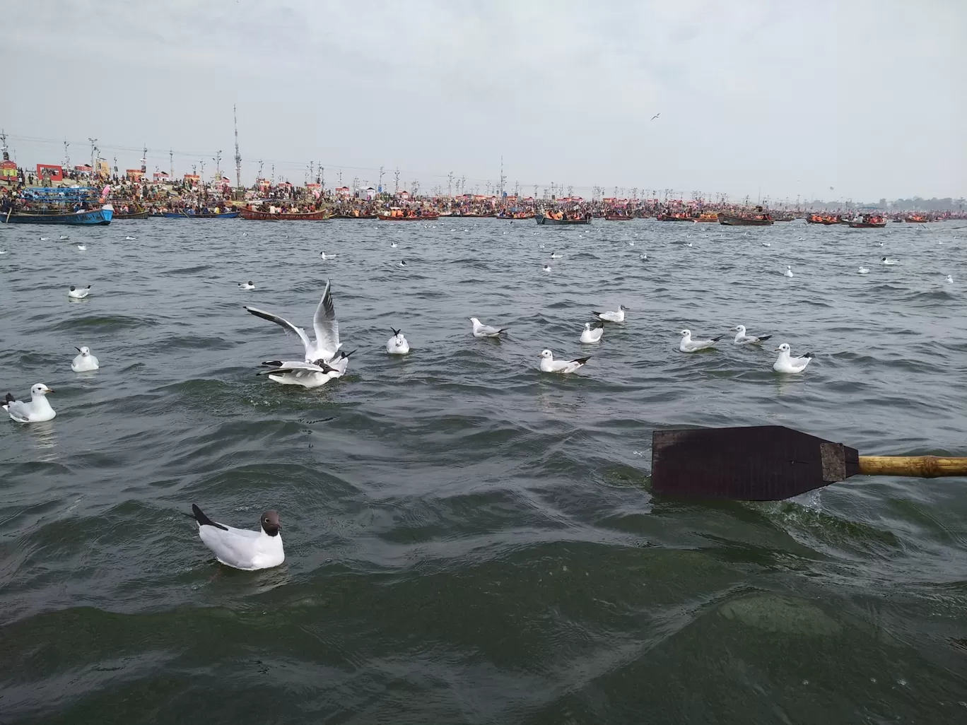 Photo of Prayagraj By Gaurang Garg