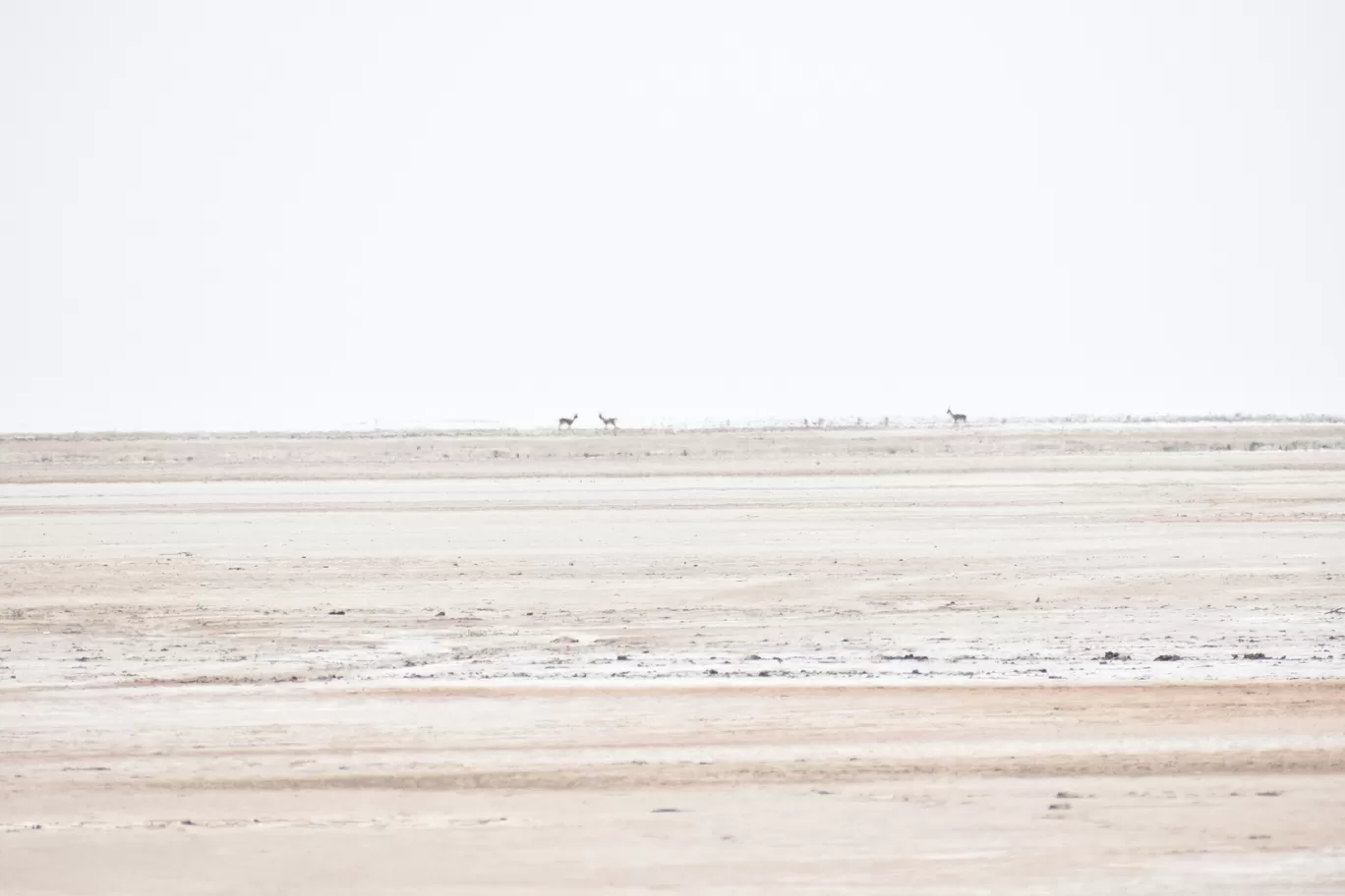Photo of Gujarat By Kushal Patel