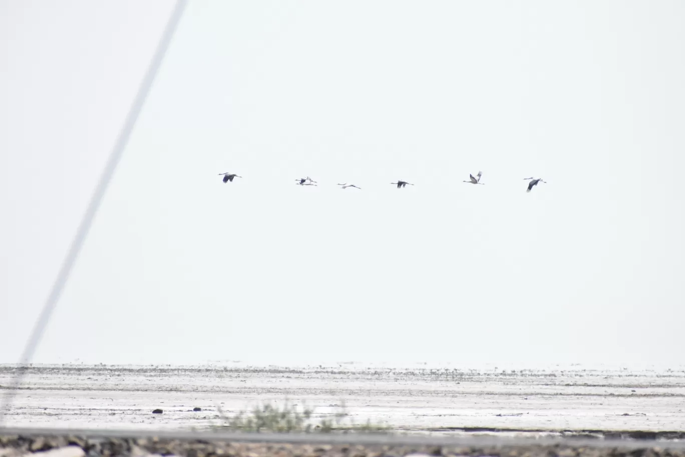 Photo of Gujarat By Kushal Patel