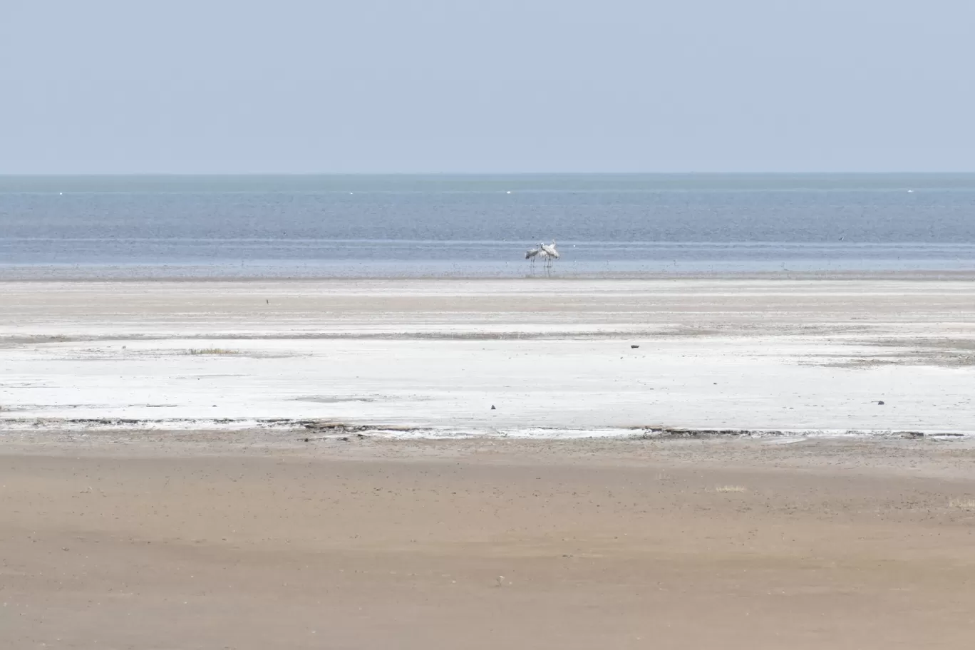 Photo of Gujarat By Kushal Patel