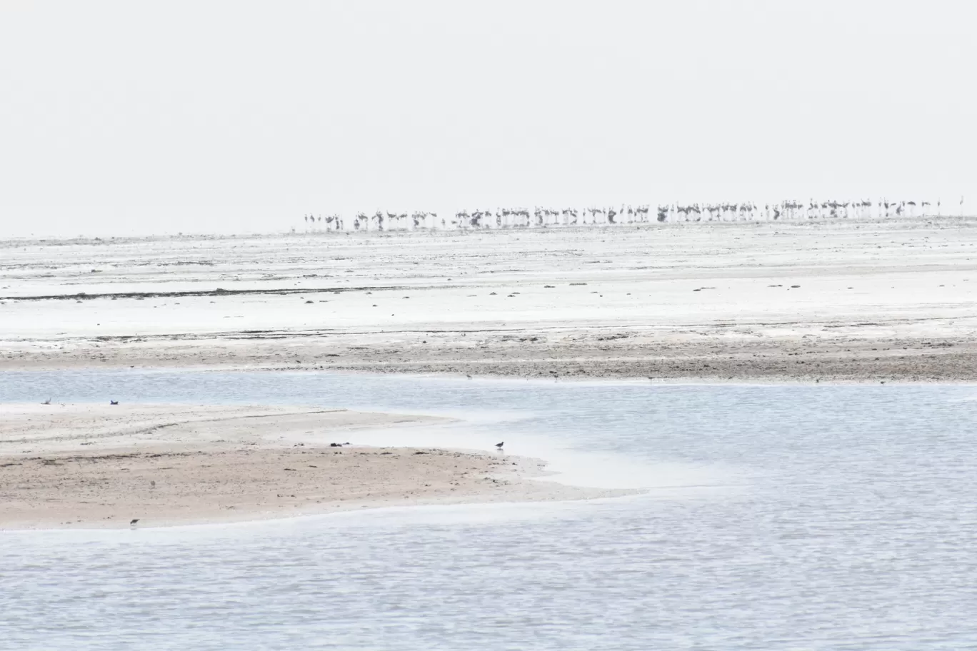 Photo of Gujarat By Kushal Patel