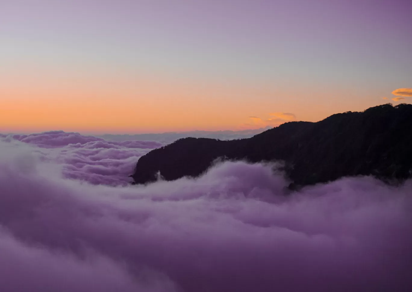 Photo of Zuluk By Sudipto Saha