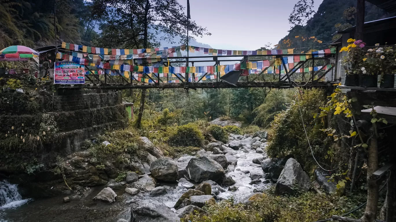 Photo of Zuluk By Sudipto Saha