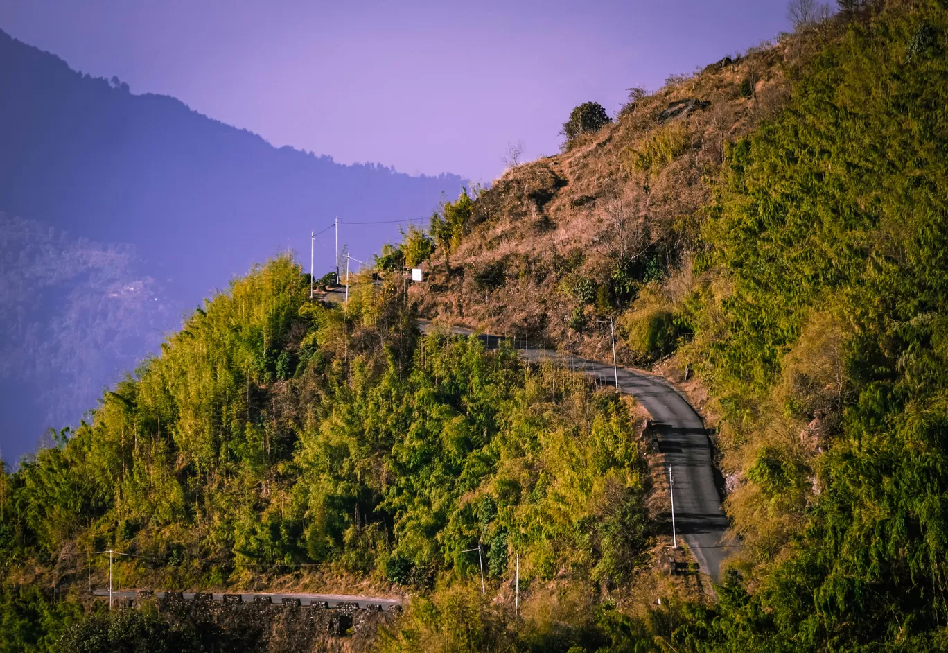 Photo of Zuluk By Sudipto Saha