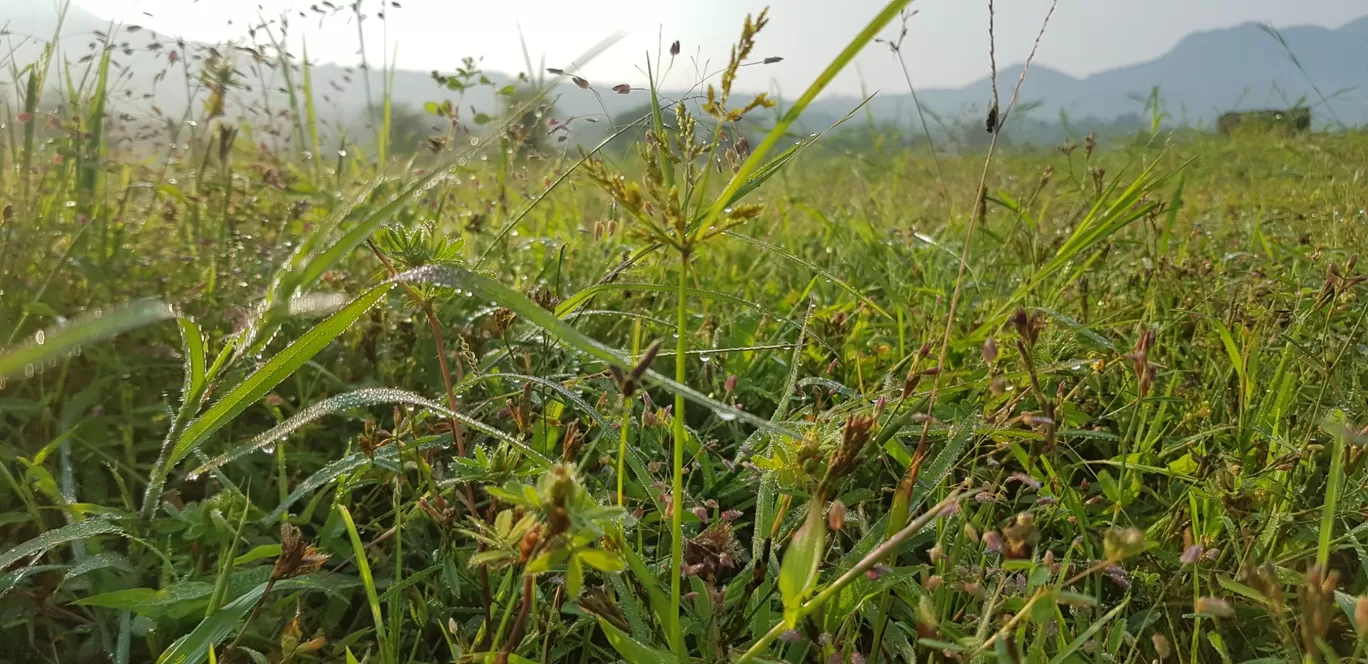 Photo of Pawana Lake By Er A'jinkya Nallewar