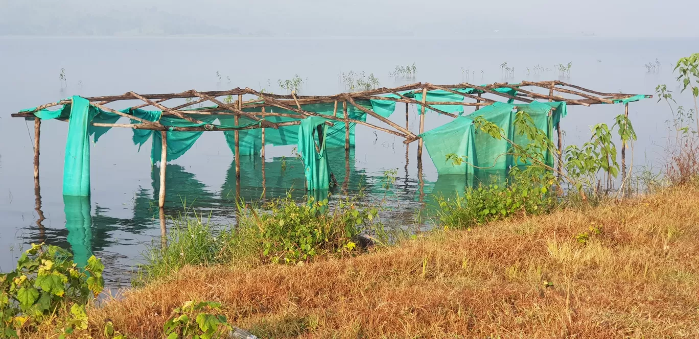 Photo of Pawana Lake By Er A'jinkya Nallewar