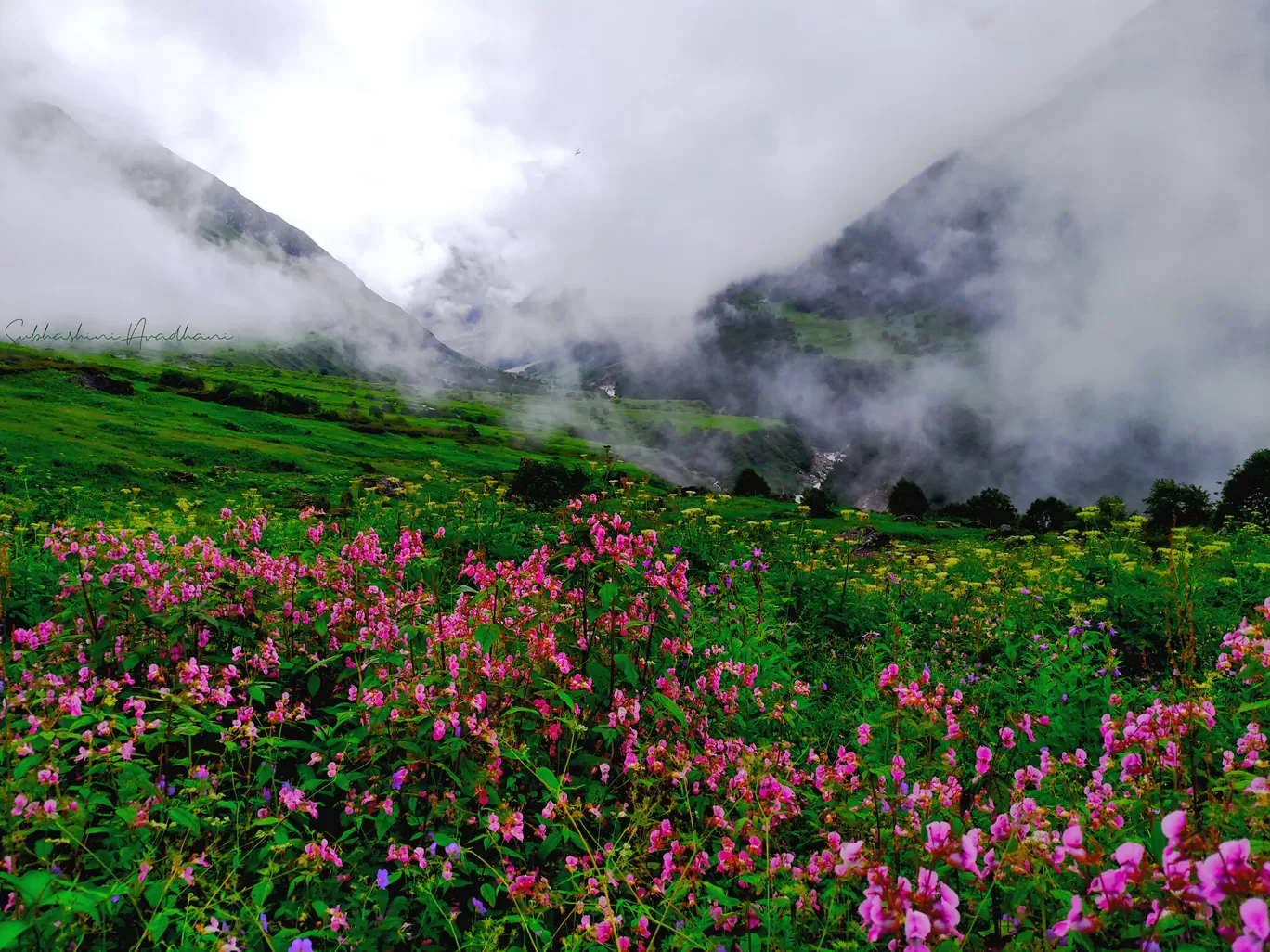 Photo of Uttarakhand By Subhashini Avadhani