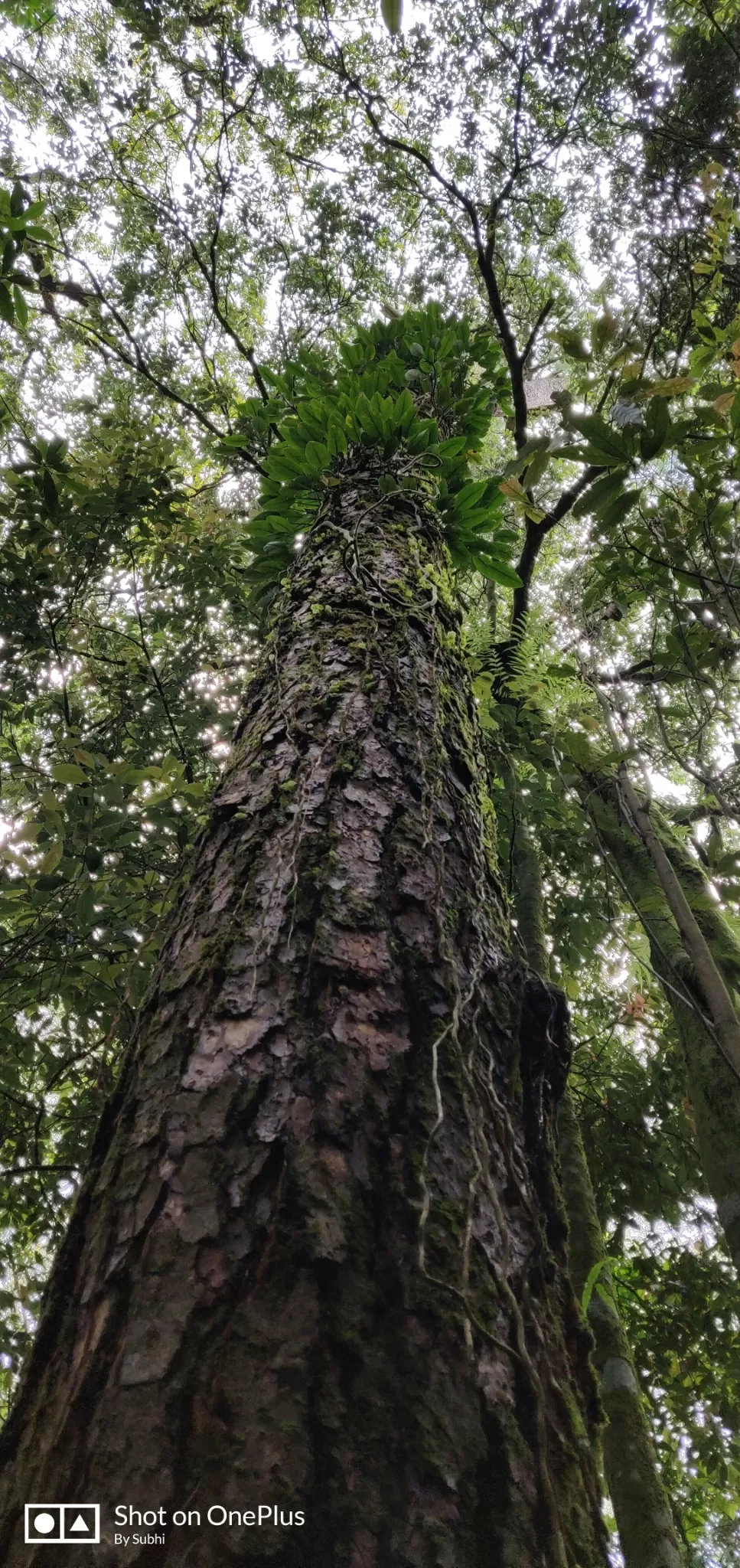 Photo of Meghalaya By Subhi