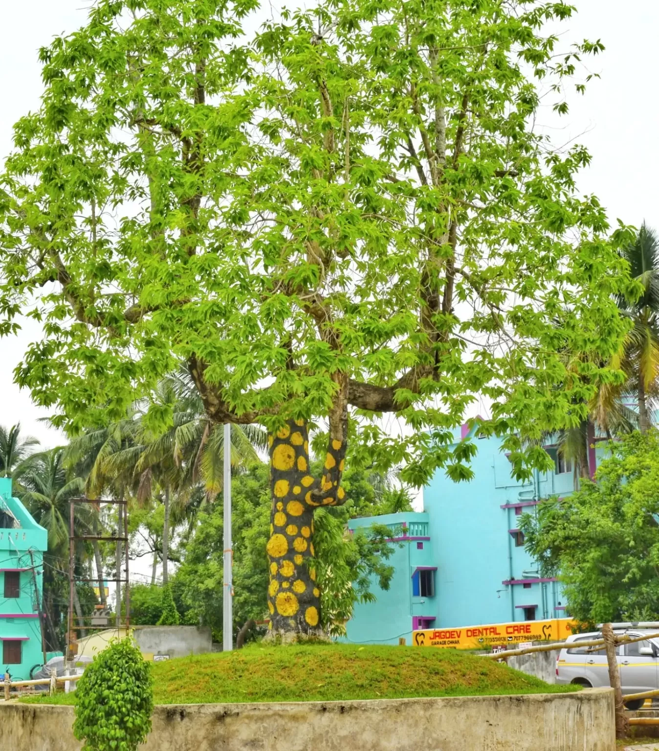 Photo of Lingaraja Temple By Subhi