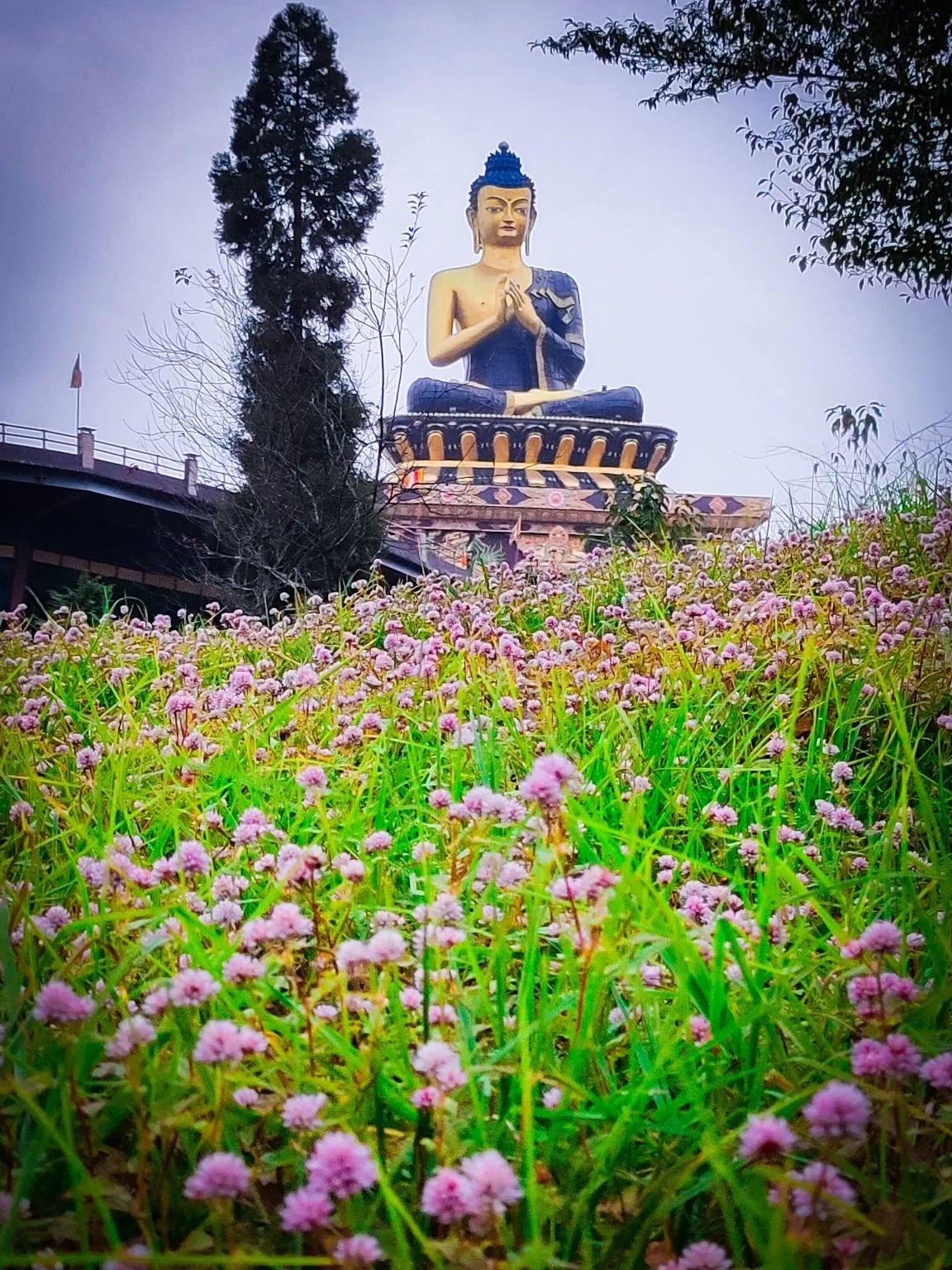 Photo of Buddha Park By Bipasha Saikia
