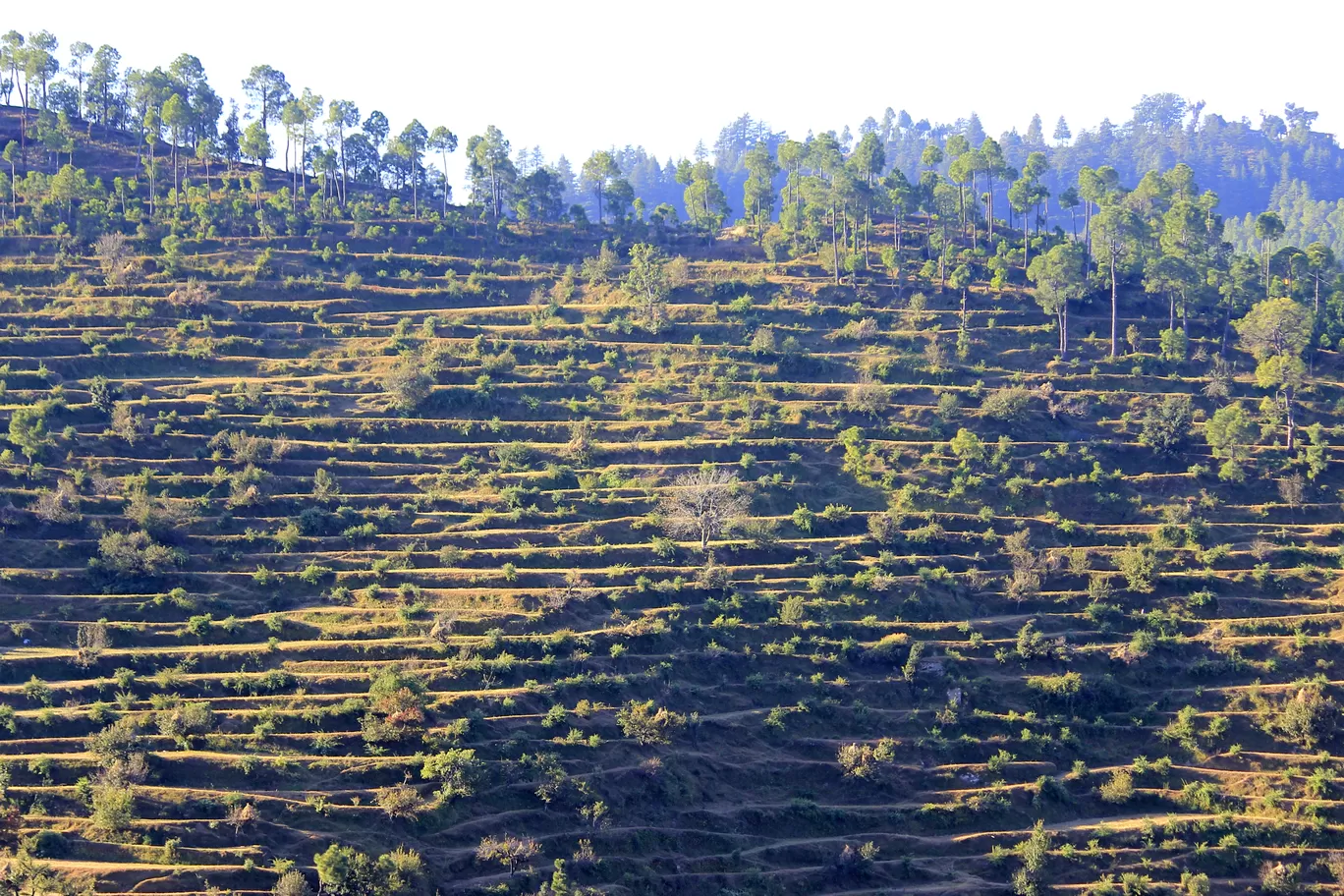 Photo of Uttarakhand By Ankit Mathur
