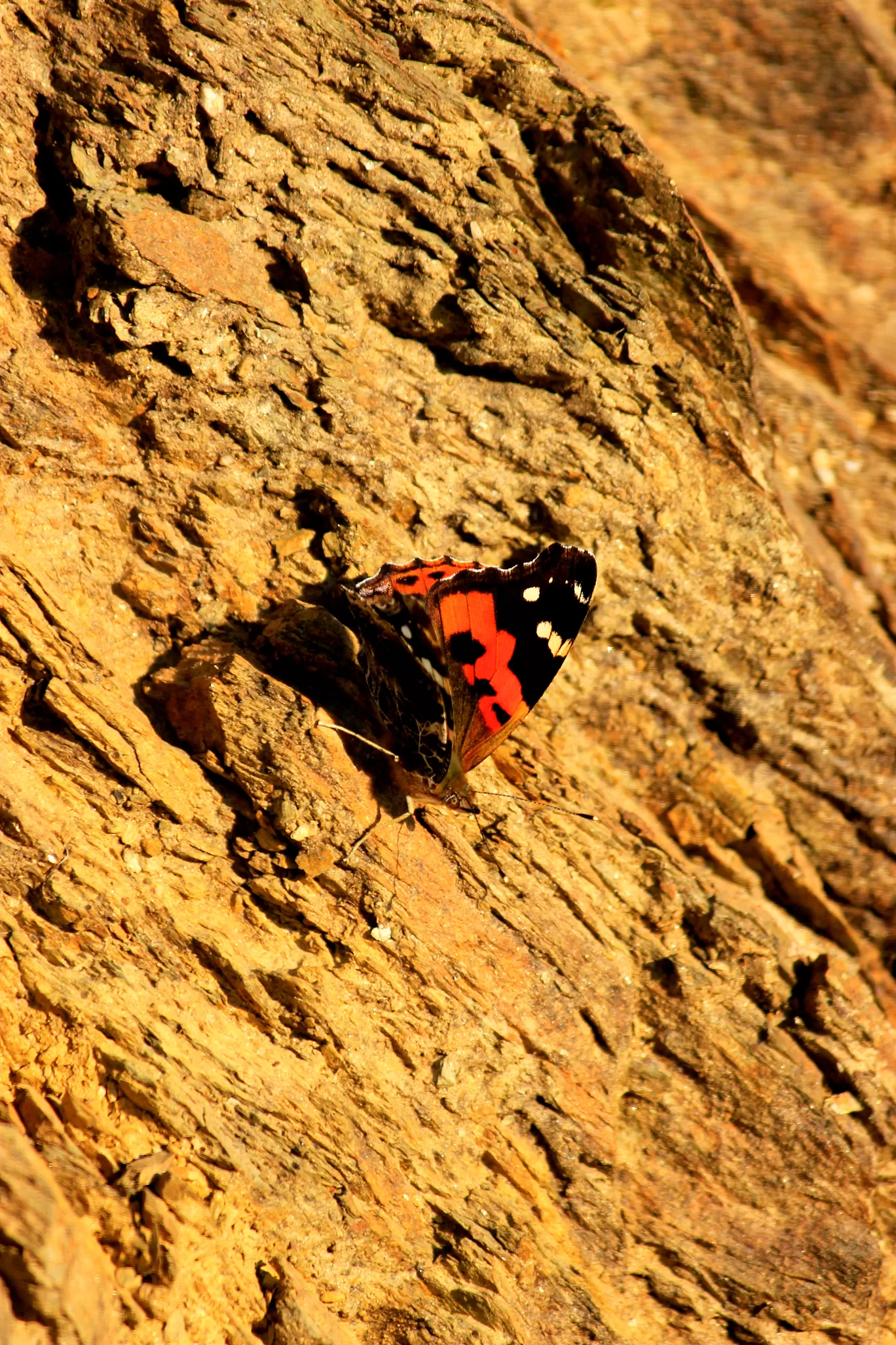 Photo of Uttarakhand By Ankit Mathur