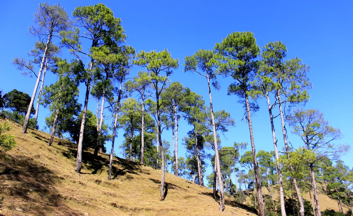 Photo of Uttarakhand By Ankit Mathur