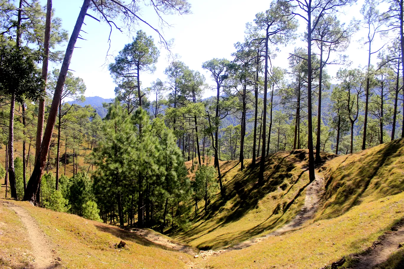 Photo of Uttarakhand By Ankit Mathur