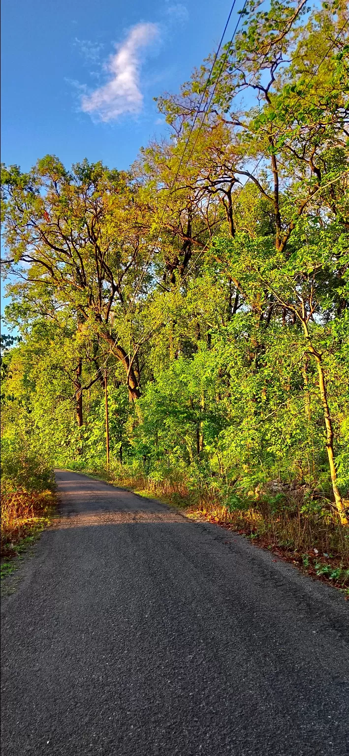 Photo of lamachaur fatehpur road haldwani By Himanshu khanayat 