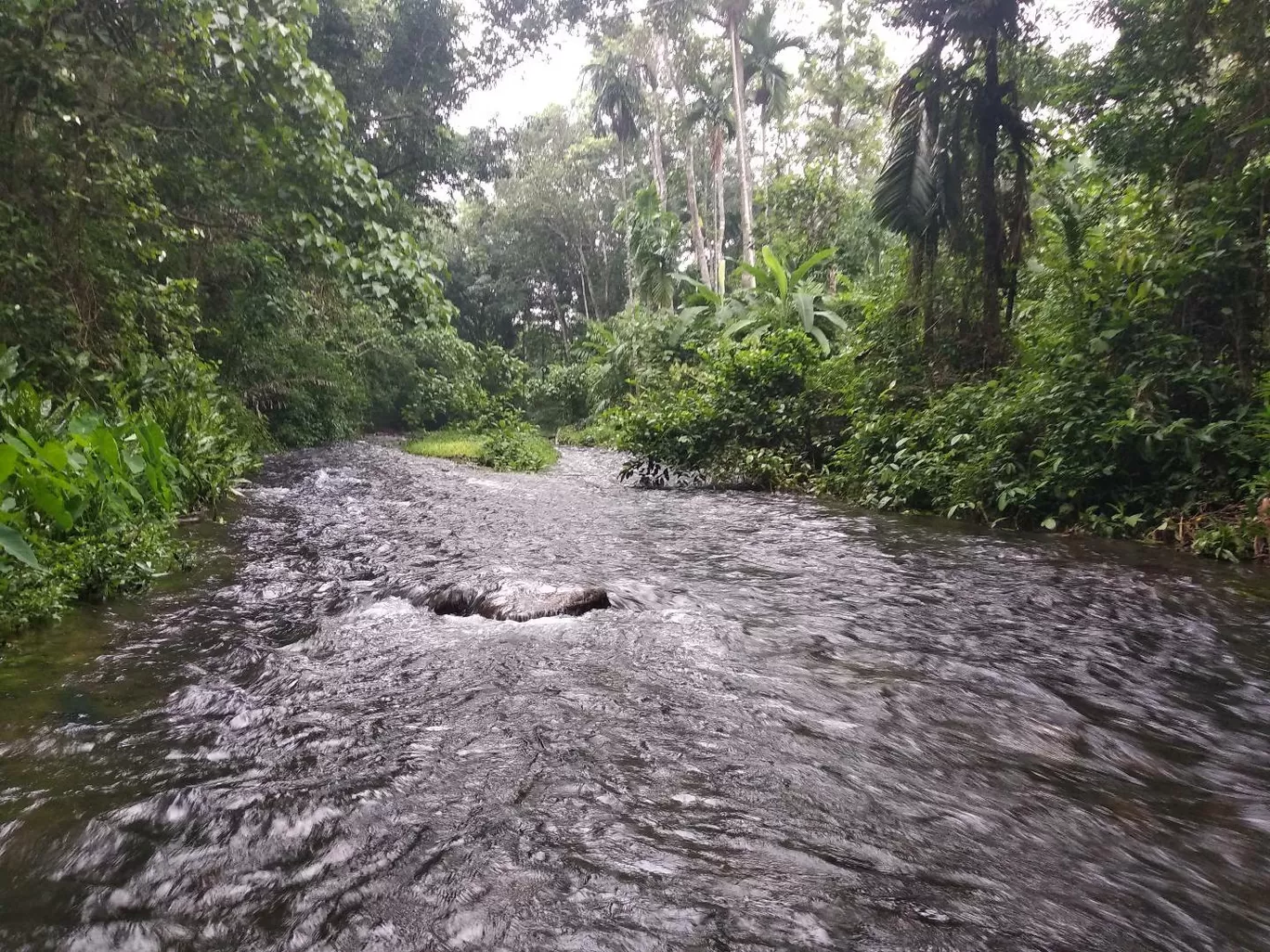 Photo of Kerala By Anjana Aby